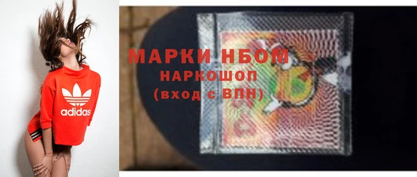 эйфоретик Бородино