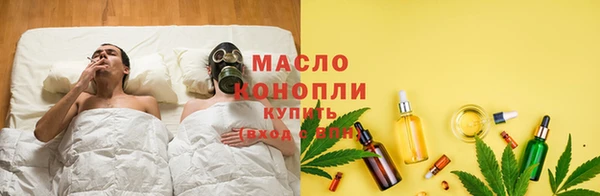 скорость Ельня