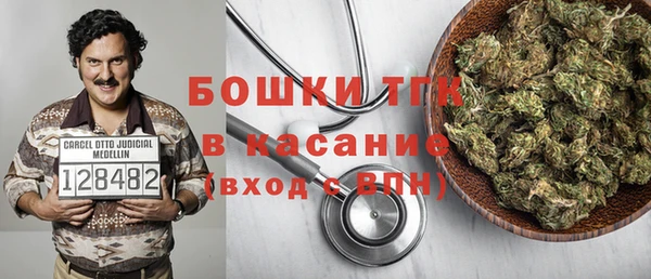 эйфоретик Бородино