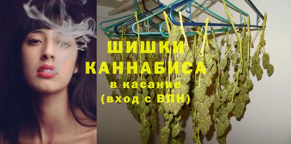 mix Богородицк