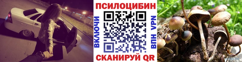 Галлюциногенные грибы Magic Shrooms Дагестанские Огни